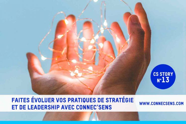 FAITES ÉVOLUER VOS PRATIQUES DE STRATÉGIE ET DE LEADERSHIP AVEC CONNEC’SENS